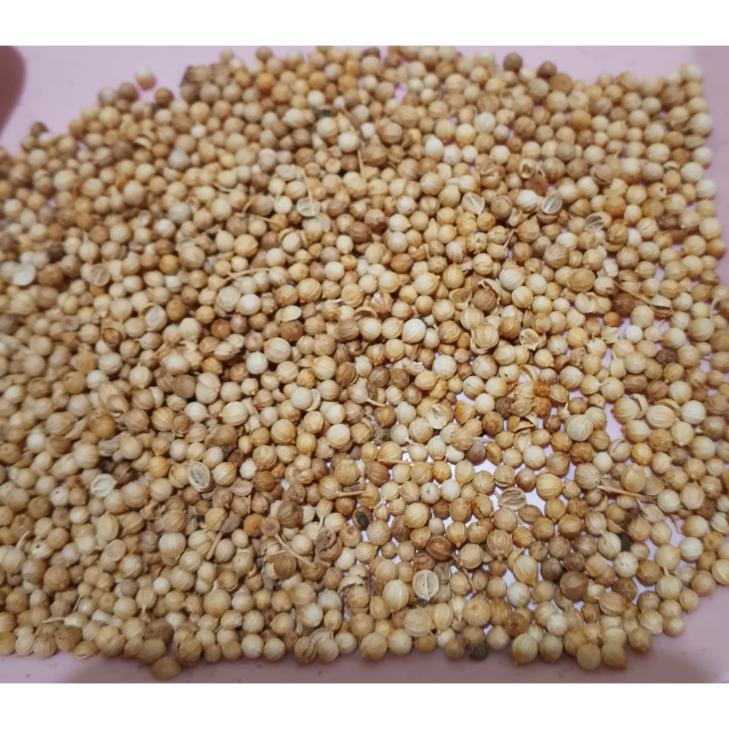 

BIJI KETUMBAR 1KG / CORIANDER SEED 1KG
