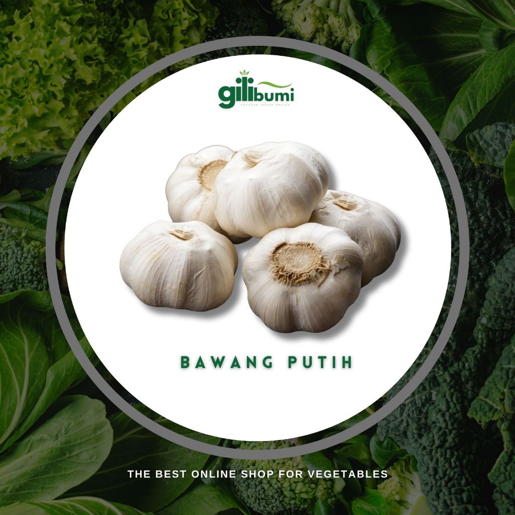 

Bawang Putih