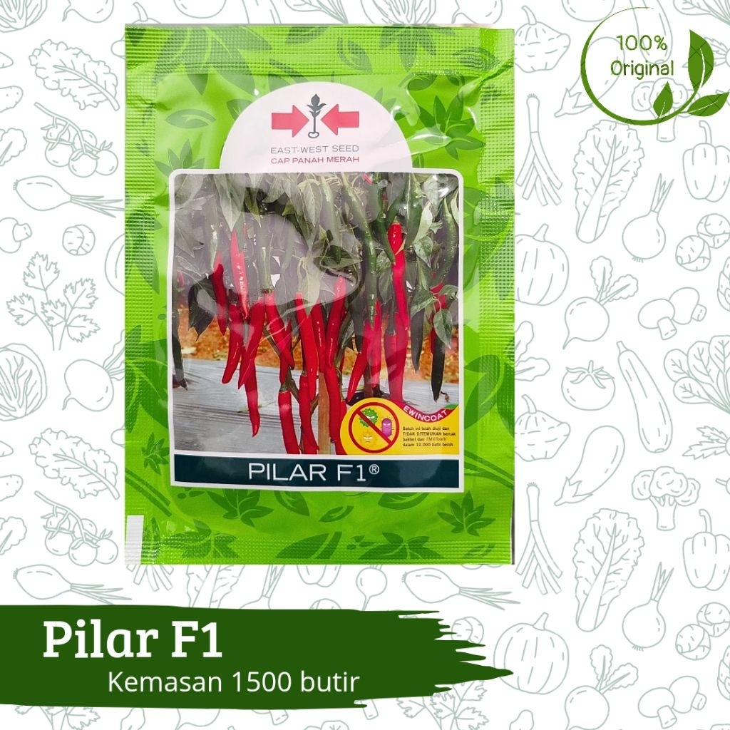 Benih Bibit Cabe Cabai Lombok Besar Pilar F1 1500 butir Cap Panah Merah