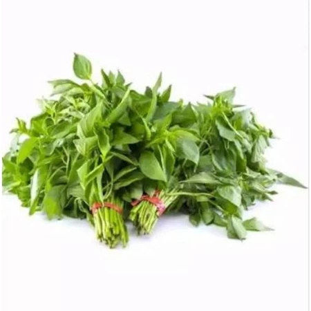 

Daun Kemangi Fresh - Daun Kemangi Segar Murah - Daun Kemangi Fresh Terdekat
