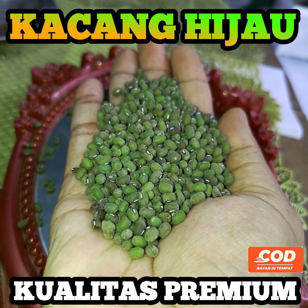

KACANG HIJAU KUALITAS PREMIUM