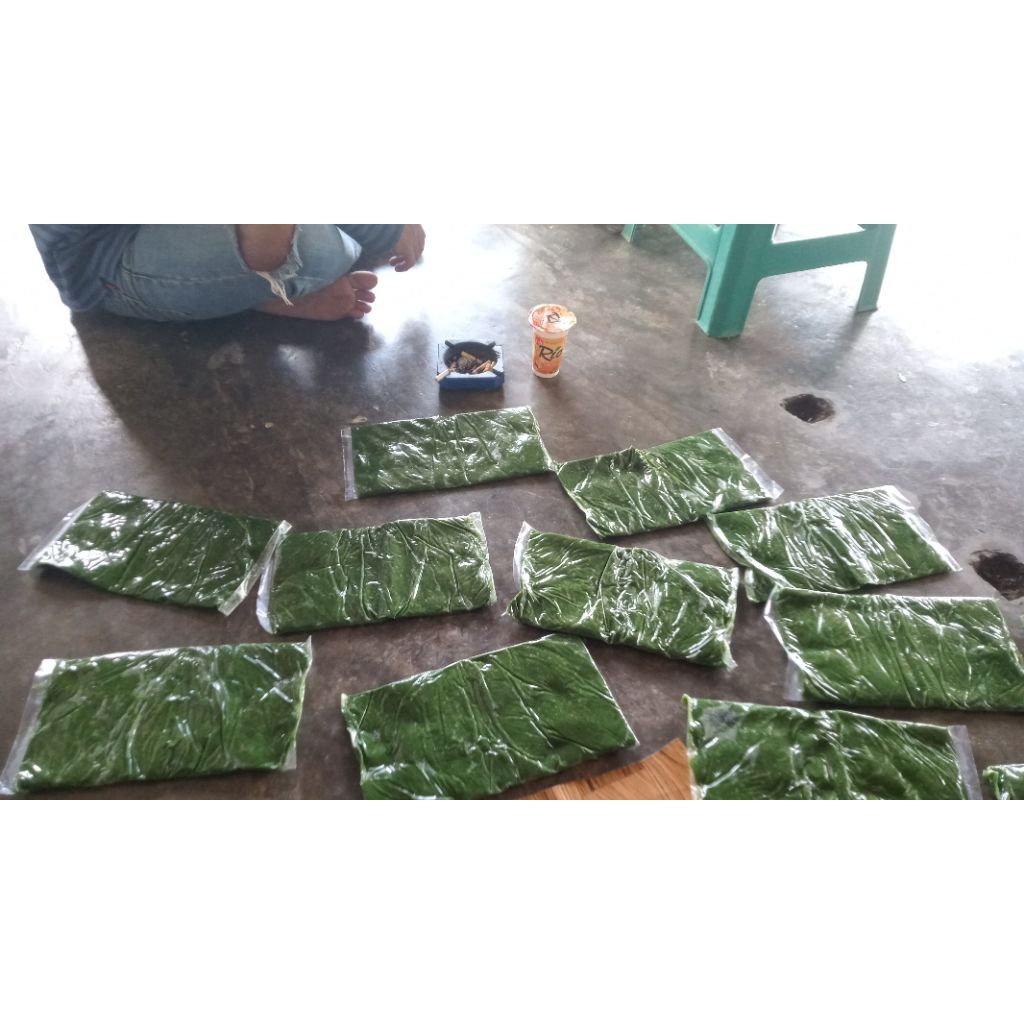 umpan ijo galatama lele