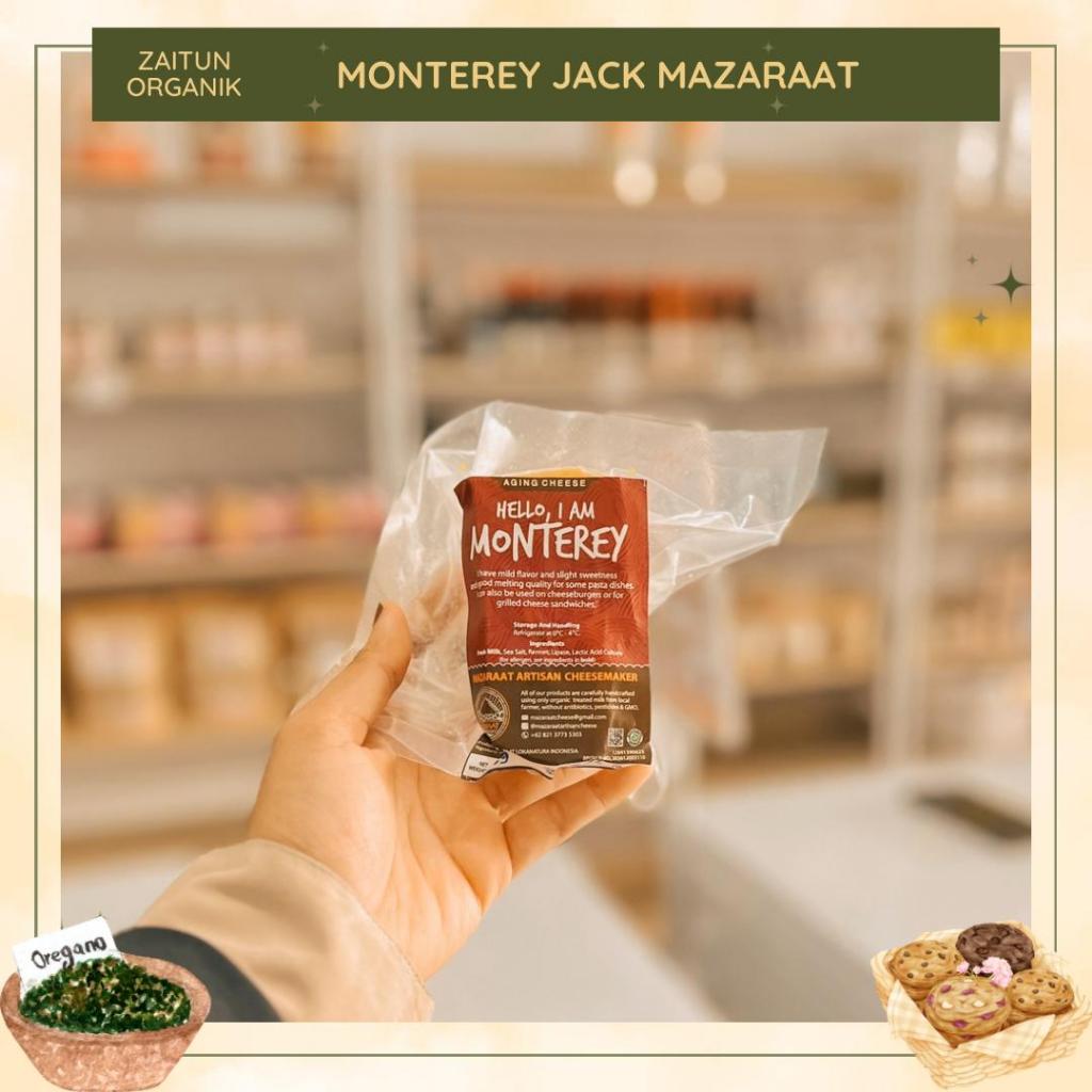 

Mazaraat Monterey Jack Cheese | Aging Cheese | Keju Monterey | Keju Mazaraat