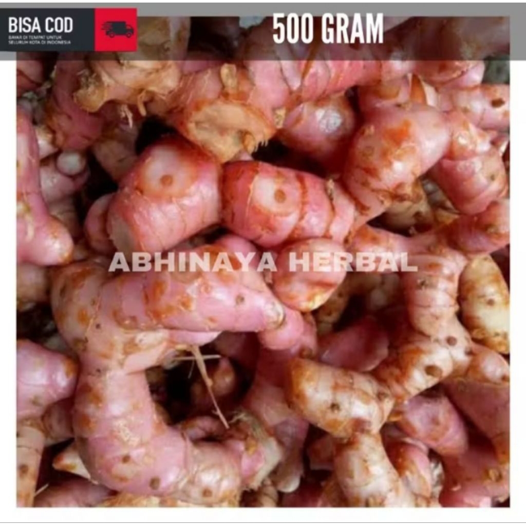 

Lengkuas Merah /Laos Merah 500Gram