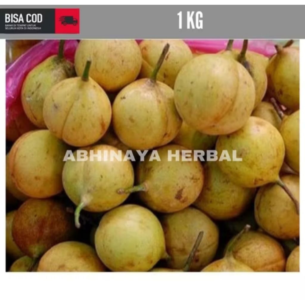 

BUAH PALA TUA SEGAR - BUAH PALA TUA BELIM KUPAS 1KG