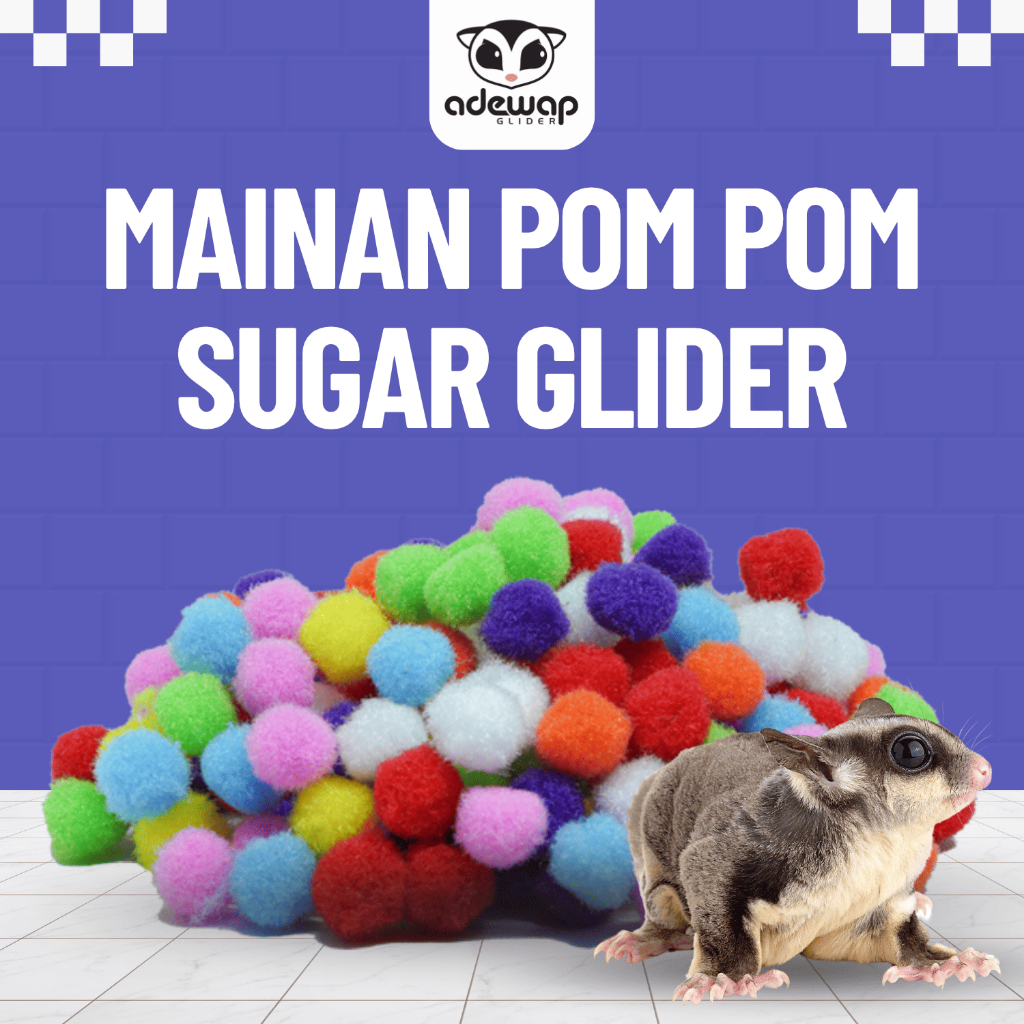 ADEWAP GLIDER Pom Pom Mainan Sugar Glider