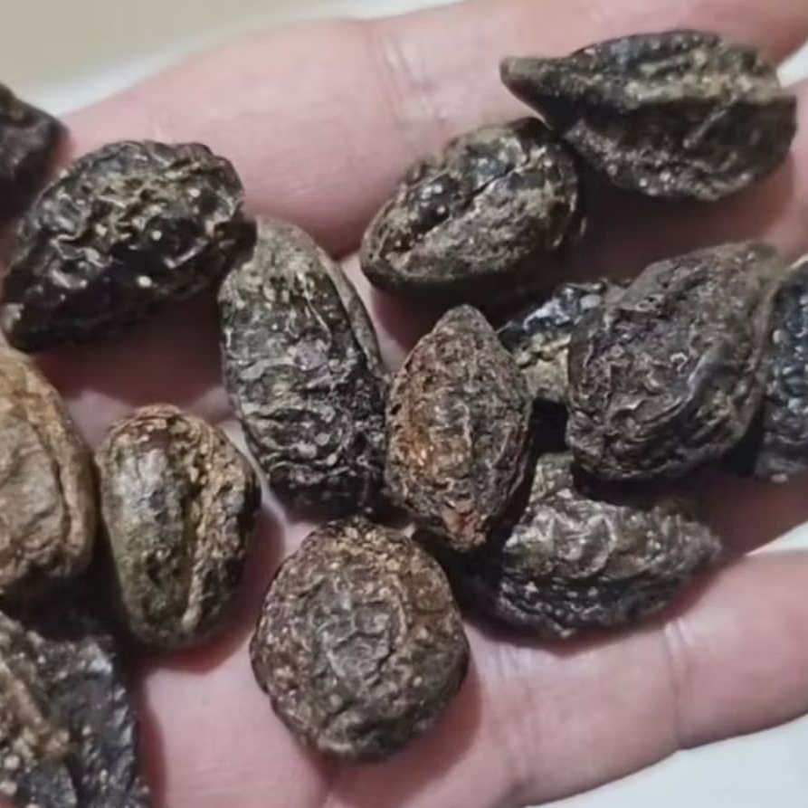 

Biji Jokeling - Biji Mojokeling