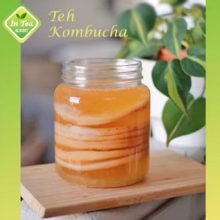 

Kombucha Started dan Scobby