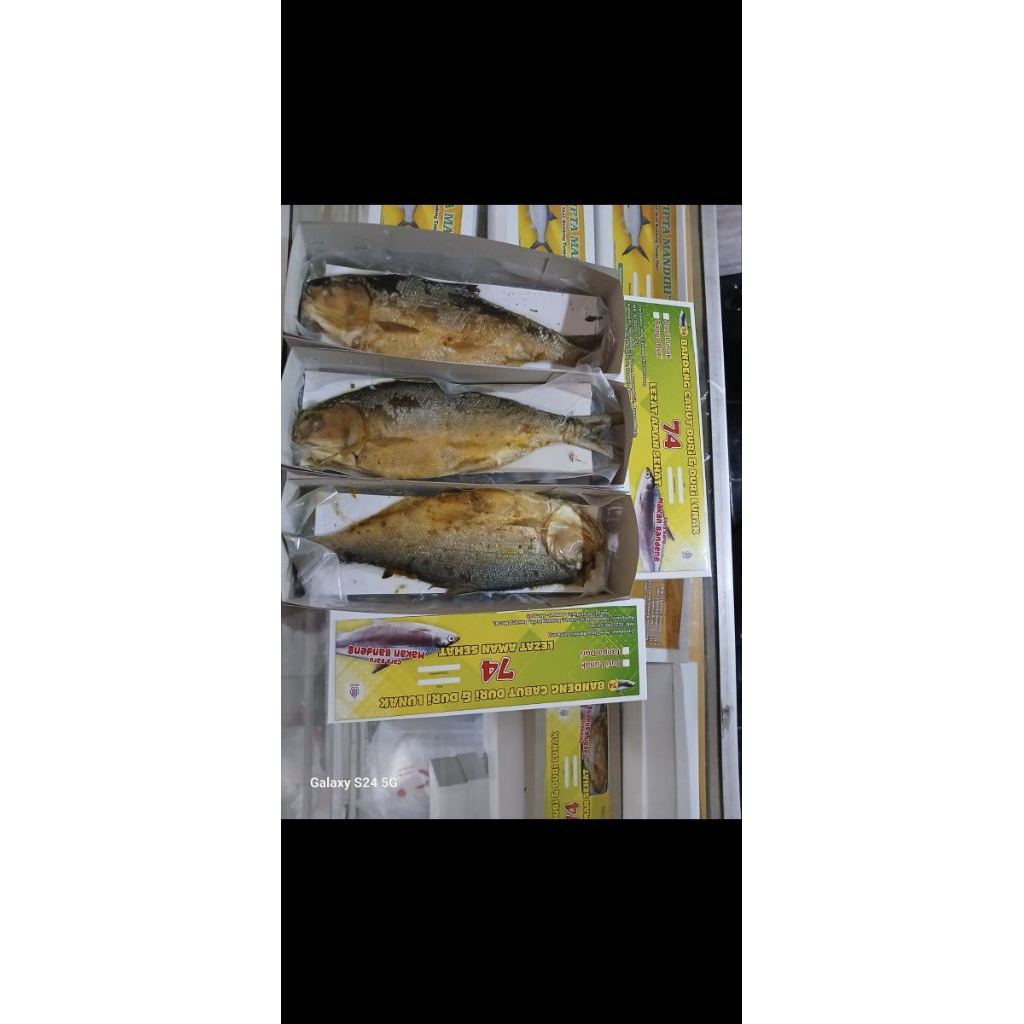 

Bandeng Presto 1 dus (2 ekor)