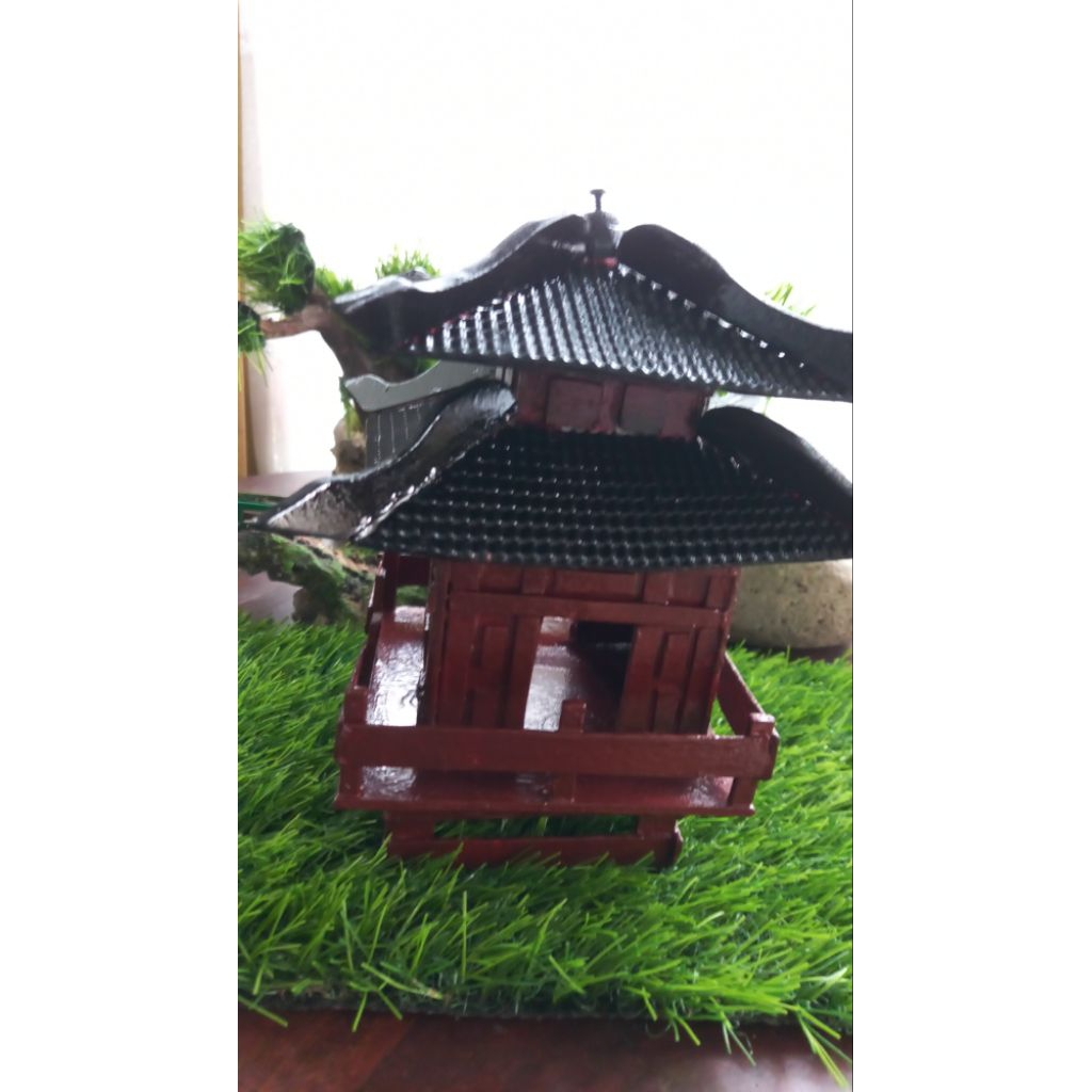 Rumah paludarium aquascape