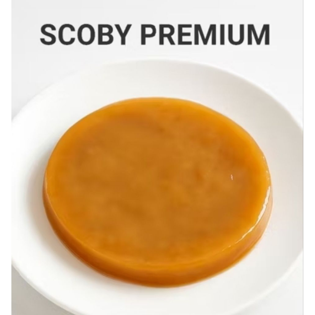 

paket komplit SCOBY +Starter kuat untuk Kombucha