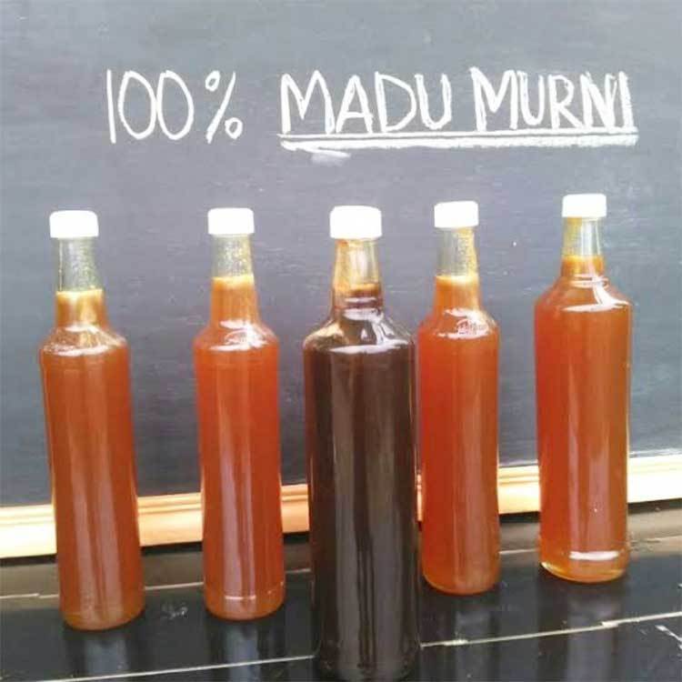 

Madu Murni 500Gr Madu Asli Dari Beberapa Wilayah Di Indonesia Kemasan Botol Garansi