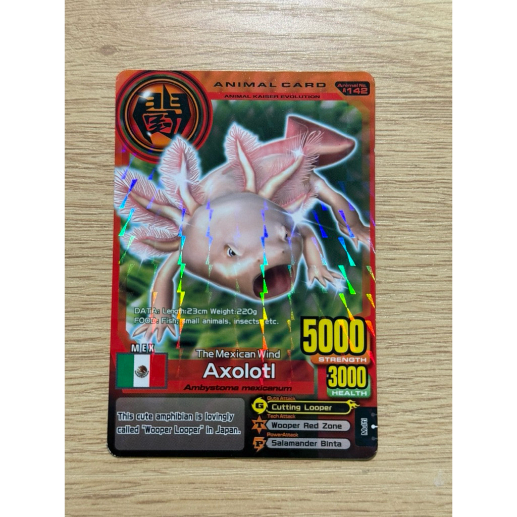 Animal Kaiser Axolotl animal card