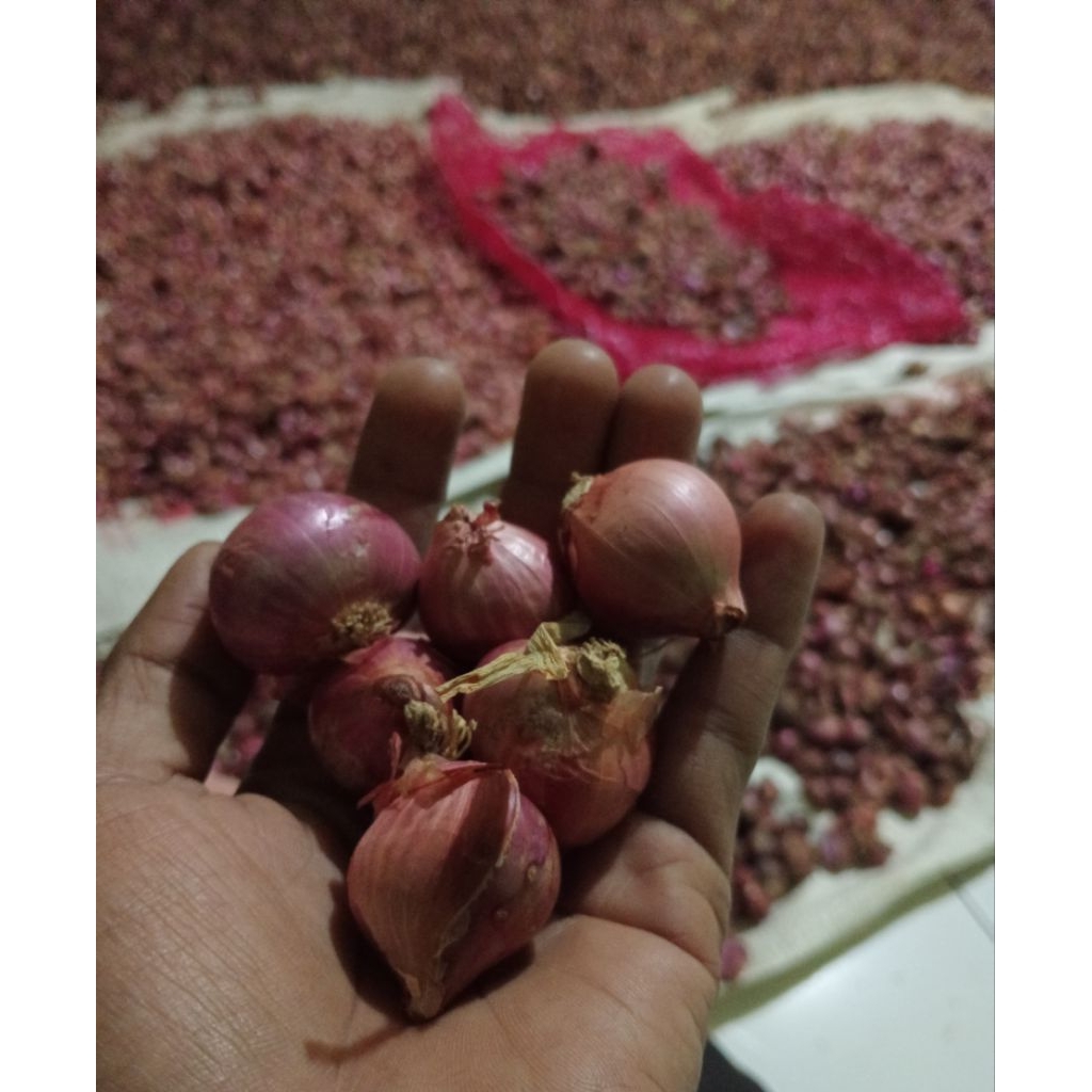 

Bawang merah super. 1kg