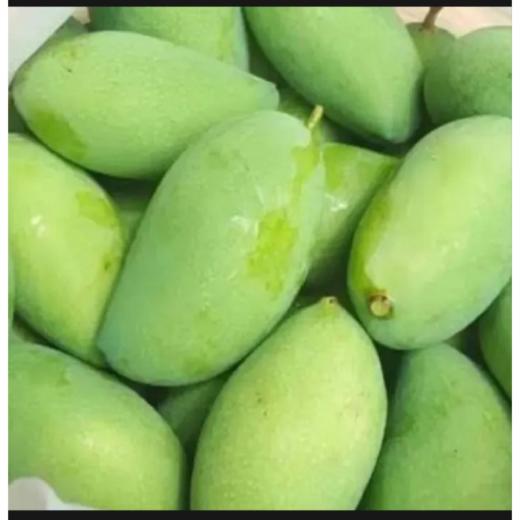 

1 KG BUAH MANGGA RUJAK