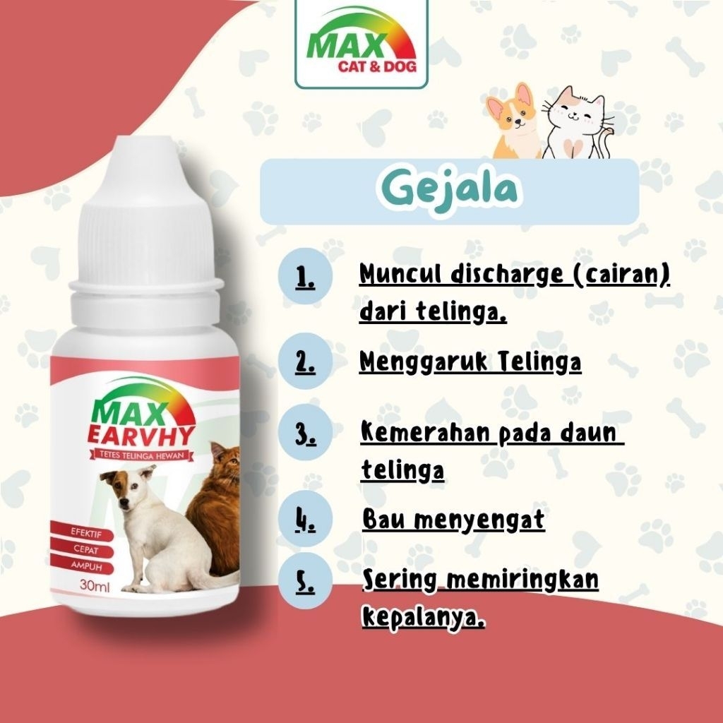 Obat Tetes Telinga Infeksi Telinga Bau Kucing Anjing Max Earvhy