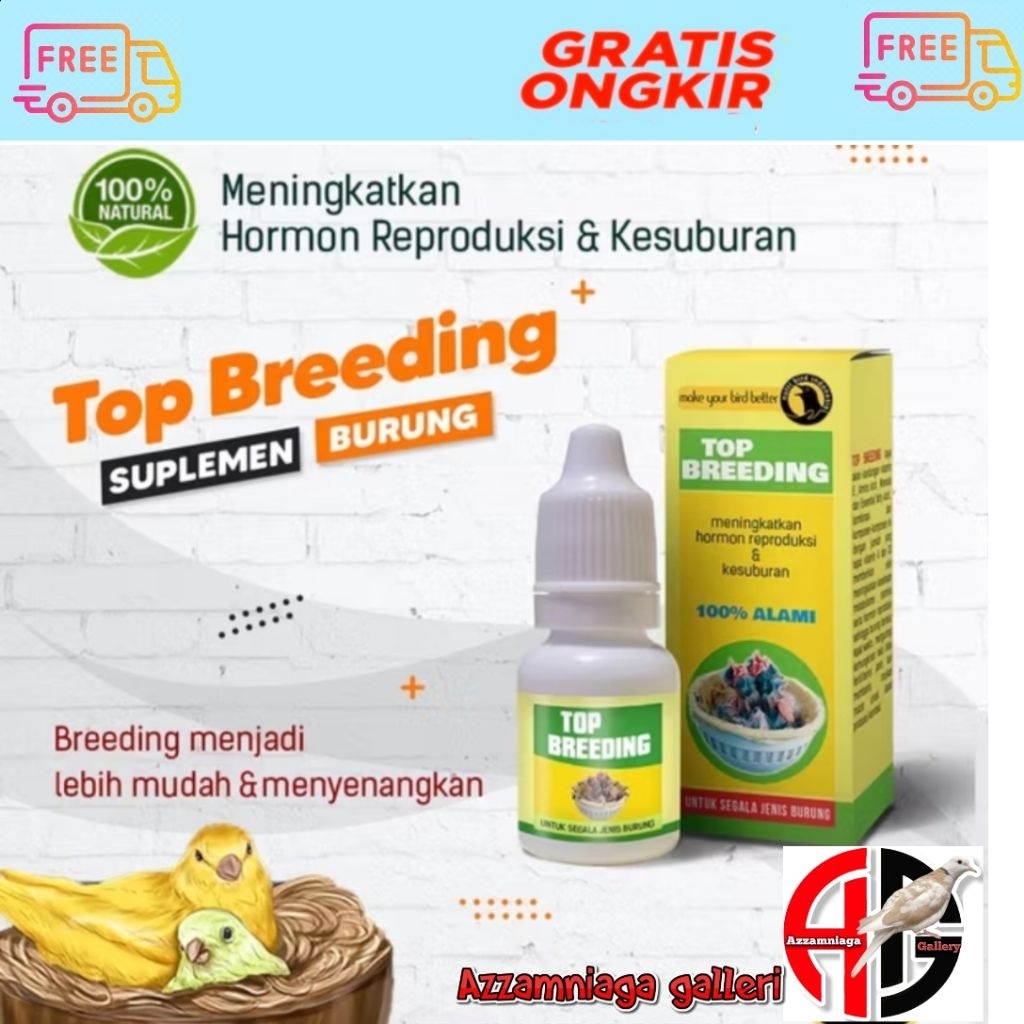 TOP BREEDING KENARI UNTUK KESUBURAN DAN BIRAH1 BURUNG KENARI