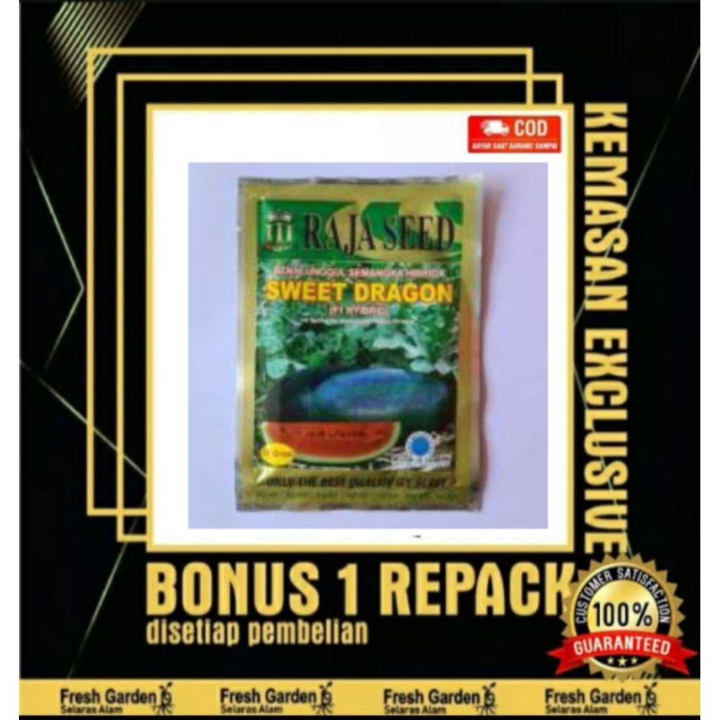 Benih Biji Semangka Sweet Dragon Raja Seed F1