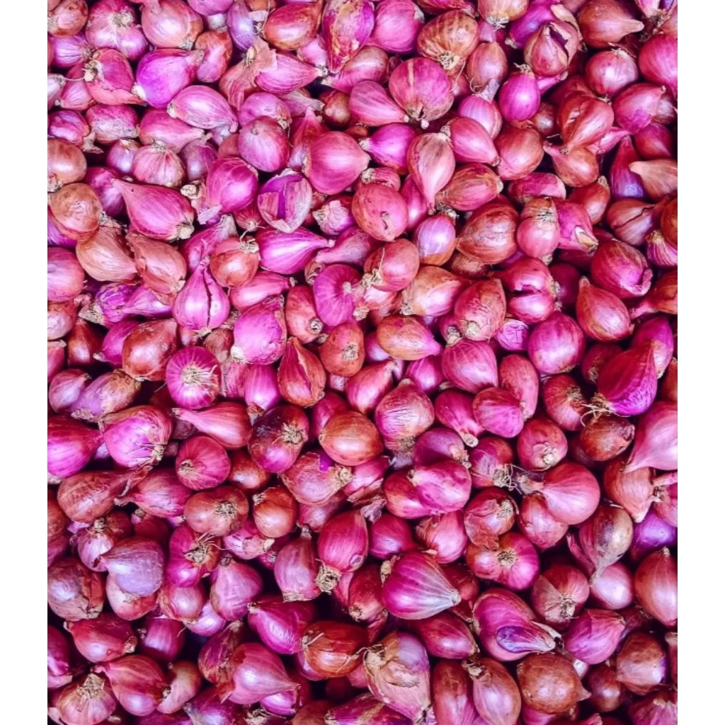 

Bawang Merah 1 kg