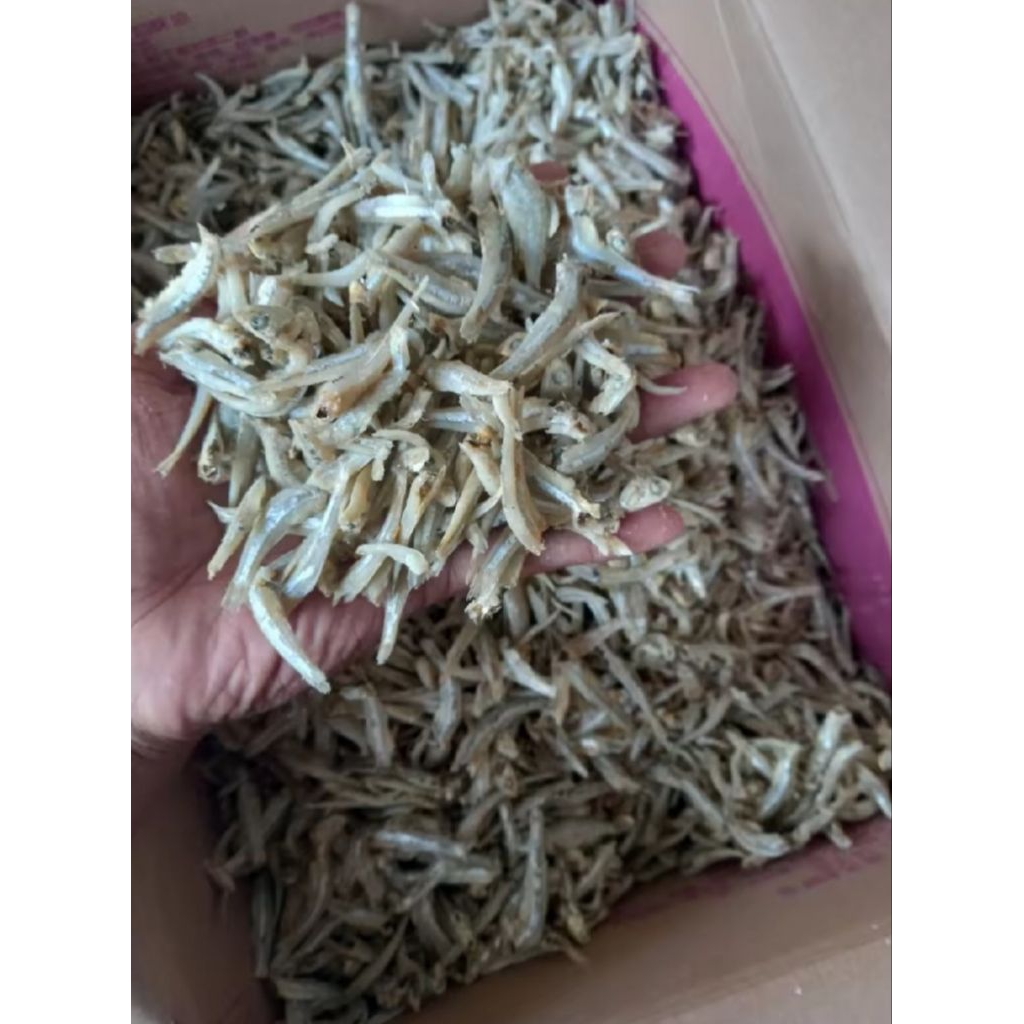 

ikan asin teri serba 10 rb