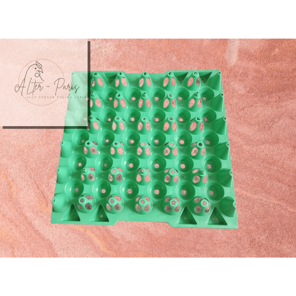 EGG TRAY PLASTIK FULL COLOR 29 CM/ TEMPAT TELUR 30 BUTIR / RAK TELUR / KANDANG PETELUR AYAM / KANDAN