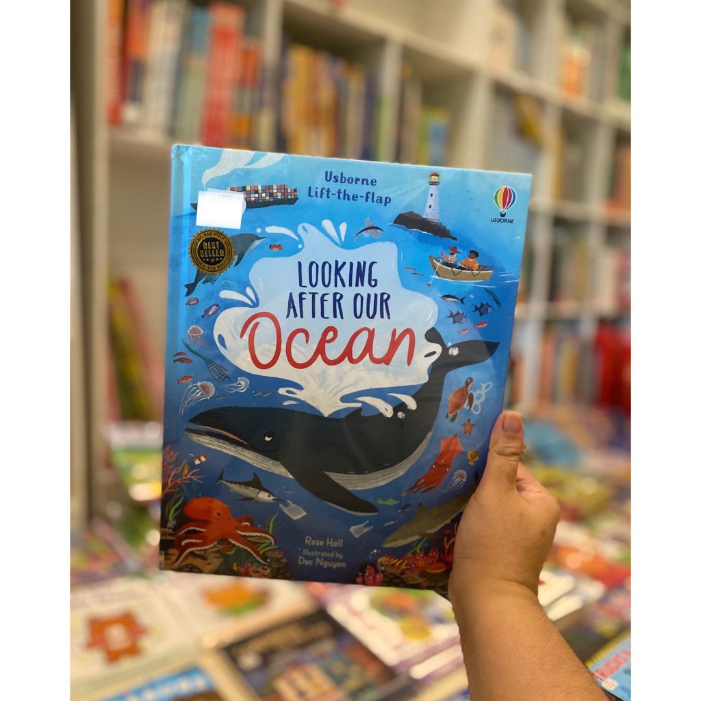 Book Usborne Lift the Flap : Looking After Our Planet