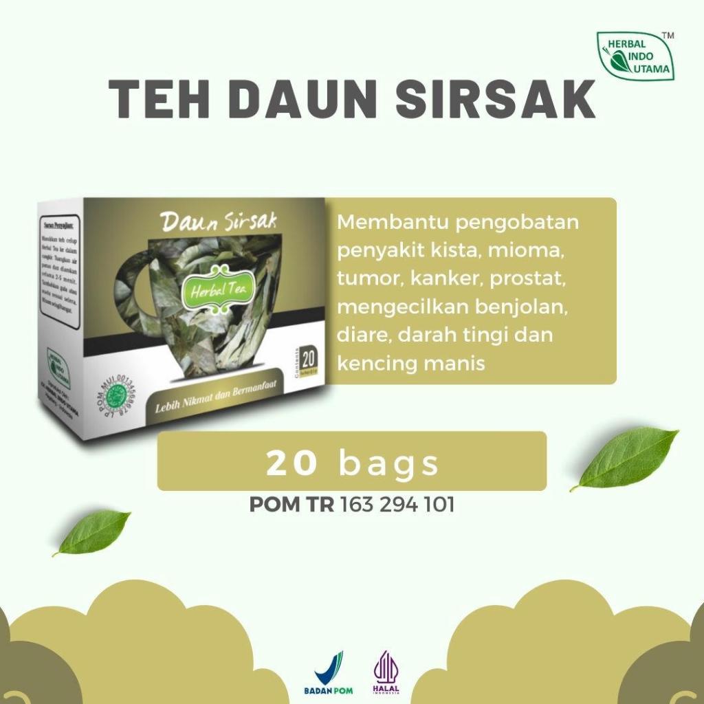 

ANTI KANKER !!! Teh Celup Daun Sirsak, Penyembuh Kista,Miomma,prostat, / Teh HerbalHerbal indo Utama