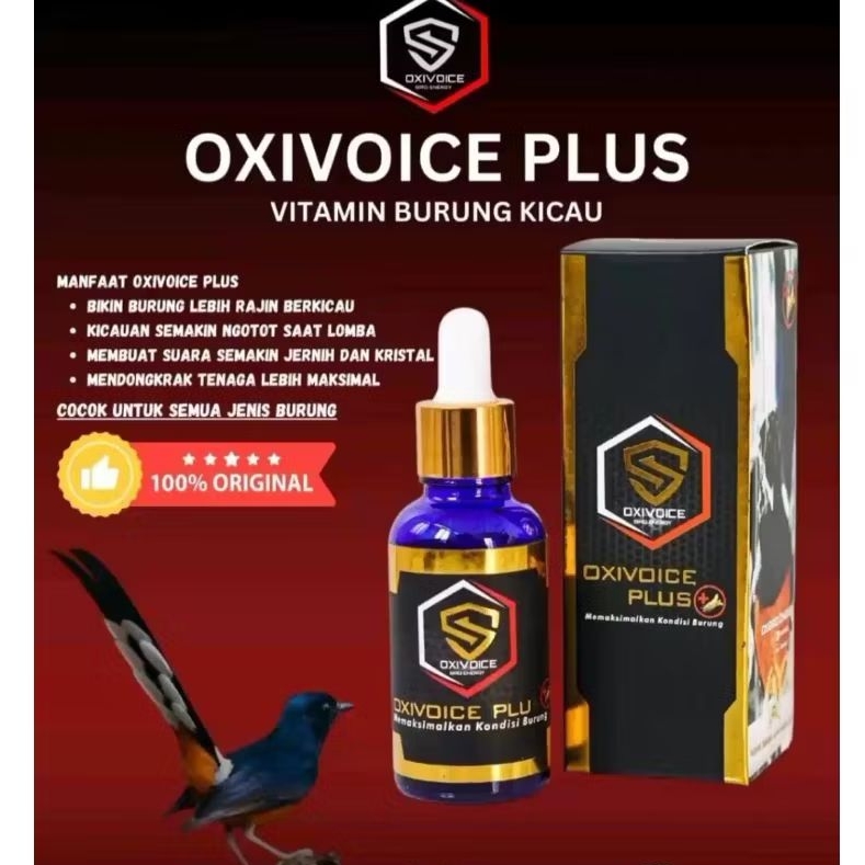 Oxivoice Plus vitamin burung murai batu untuk harian dan lomba