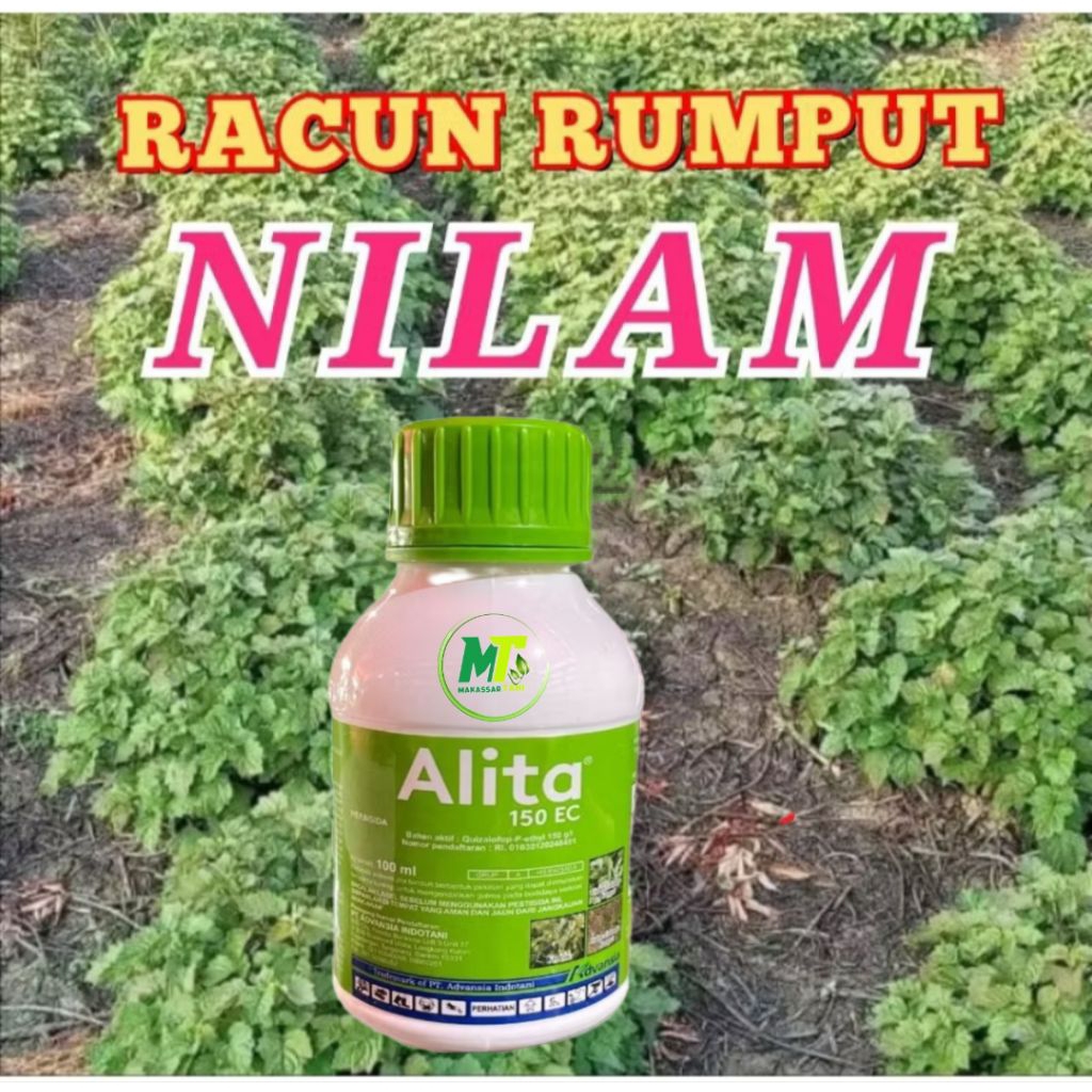 RACUN RUMPUT TANAMAN NILAN, CABE, SEMANGKA, KACANG TANAH, ALITA 150 EC HERBISIDA 100ml