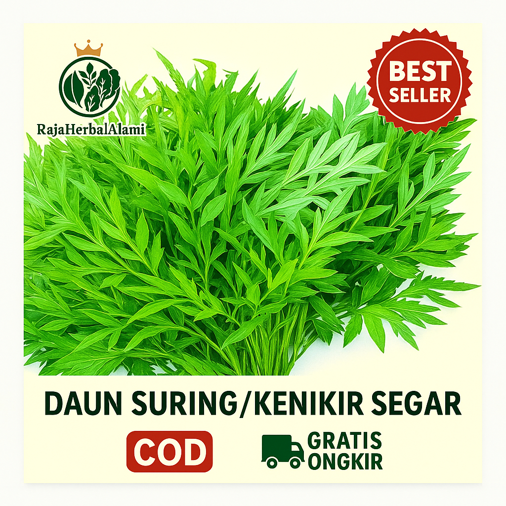 

Daun Kenikir /Suring Segar 1 Ikat – Herbal Tradisional untuk Kesehatan I COD & GRATIS ONGKIR