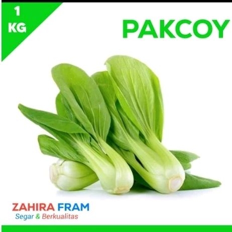 

Sayuran Pokcoy/Pakcoy