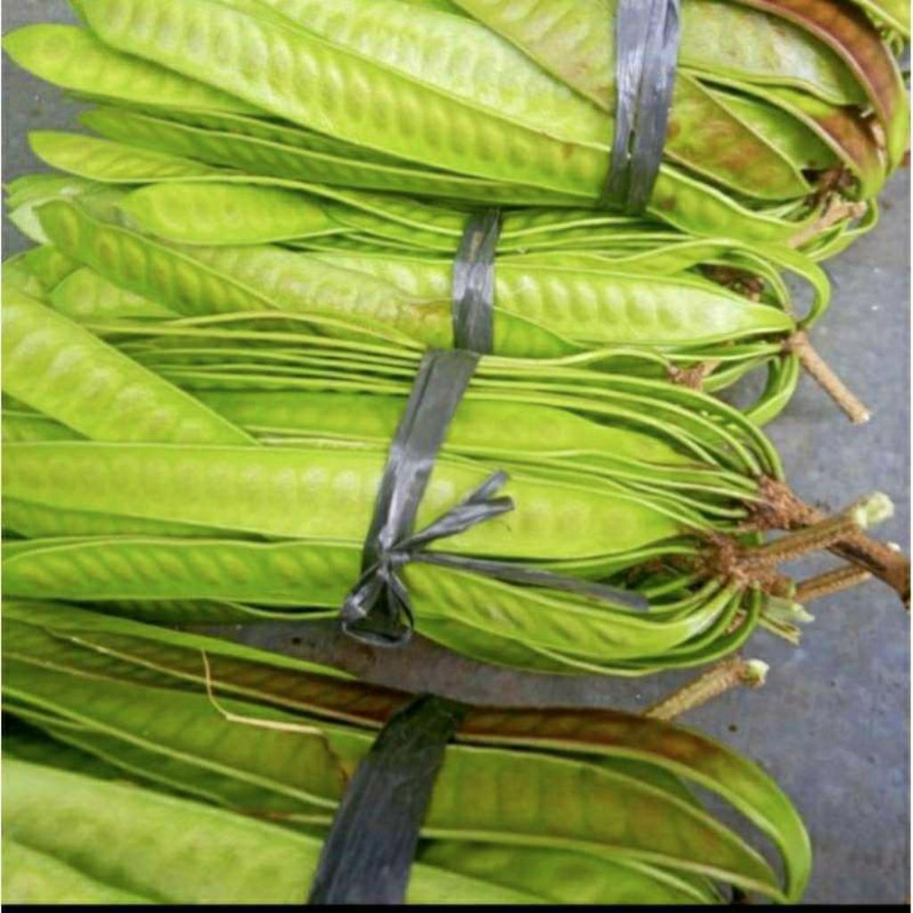 

petai cina 500grm/ lamtoro/ petai selong