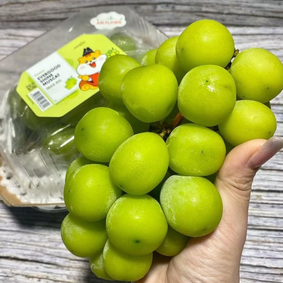 

ANGGUR SHINE MUSCAT SUPER PACK 500gr