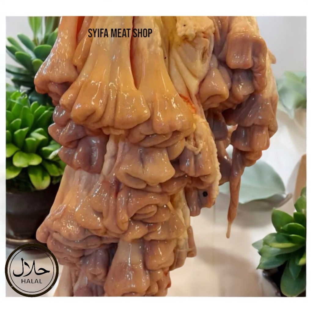 

USUS SAPI UTUH 500-g 1kg HALAL FRESH BERKUALITAS