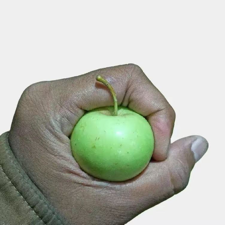 

Apel Manalagi Lokal Kota Batu D (Mini Chery) 1 Kg Berisi 25-32 Biji