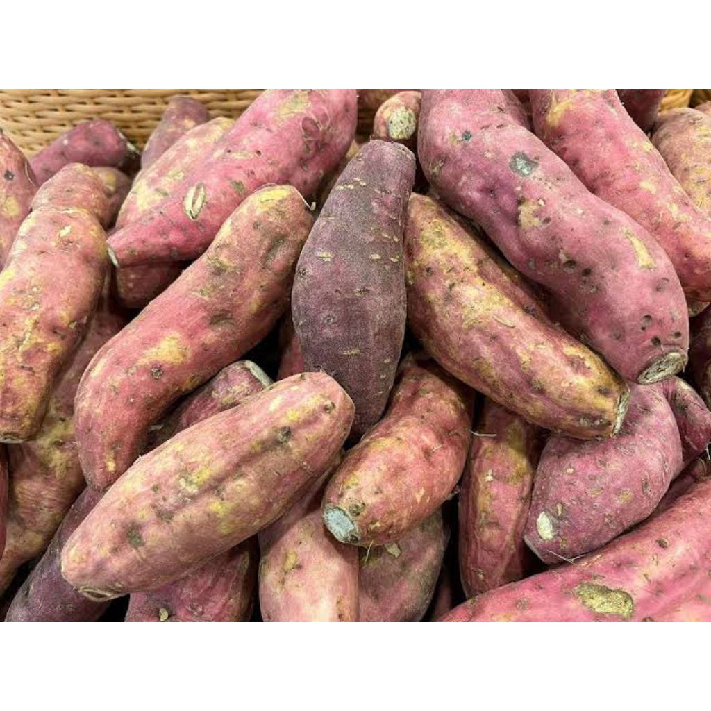 

ubi merah || ubi ungu || ubi putih 500gr