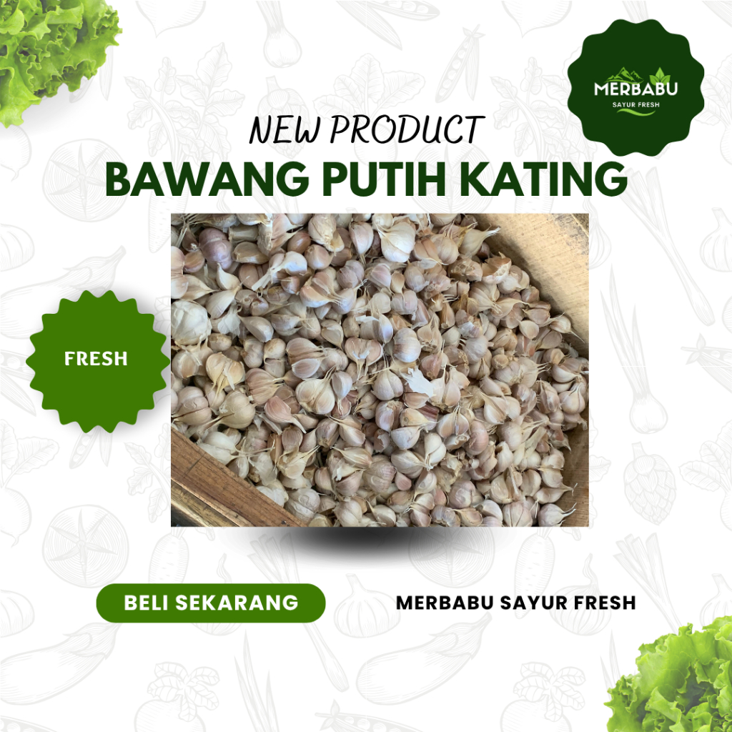 

Bawang Putih Kating Super Fresh