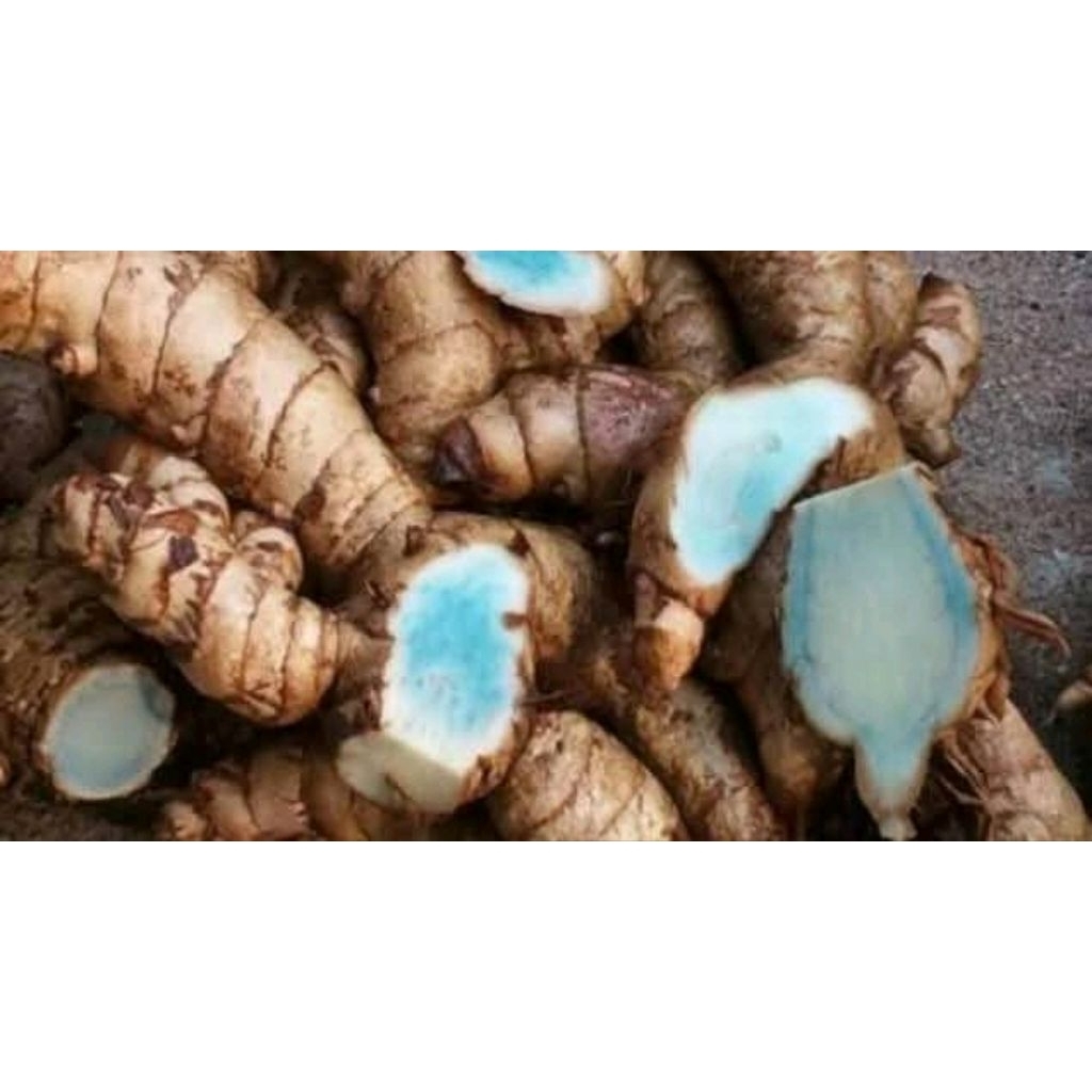 

temu ireng segar fres 1kg