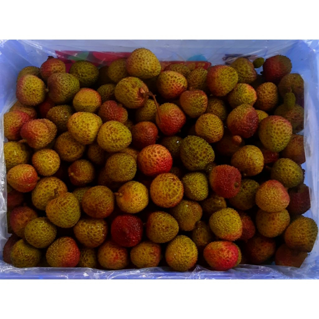 

Buah Lychee Madu Hijau (250gr)