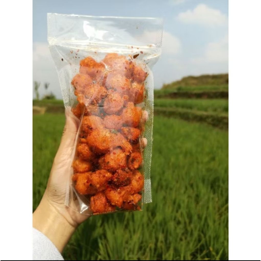 

SIOMAY MINI KERING CRISPY 100 GRAM