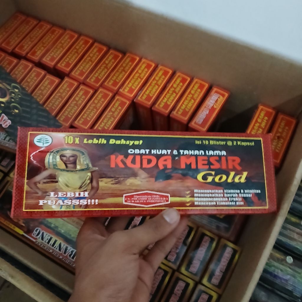 Kuda mesir Gold