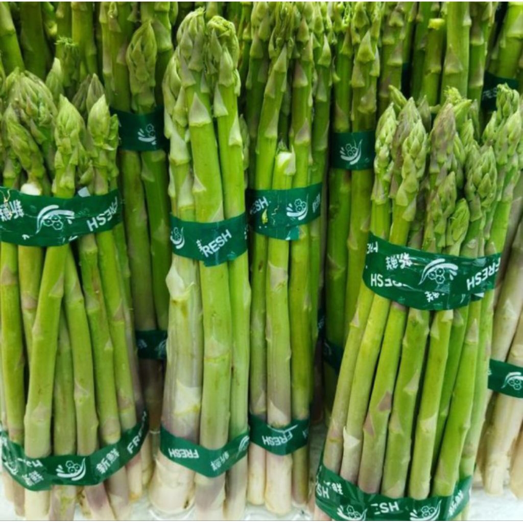 Asparagus Fresh / asparagus segar 250 gr / pack