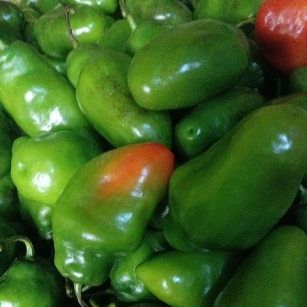 

CABE GENDOT SEGAR FRESH 1KG