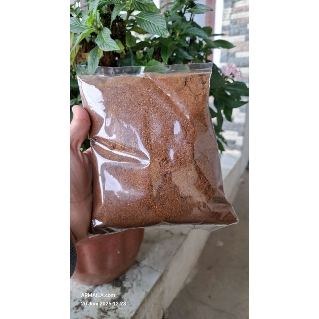 

Bubuk Kopi Roasting Enak Bubuk Kopi Gayo Asli Roastbean 500 Gram
