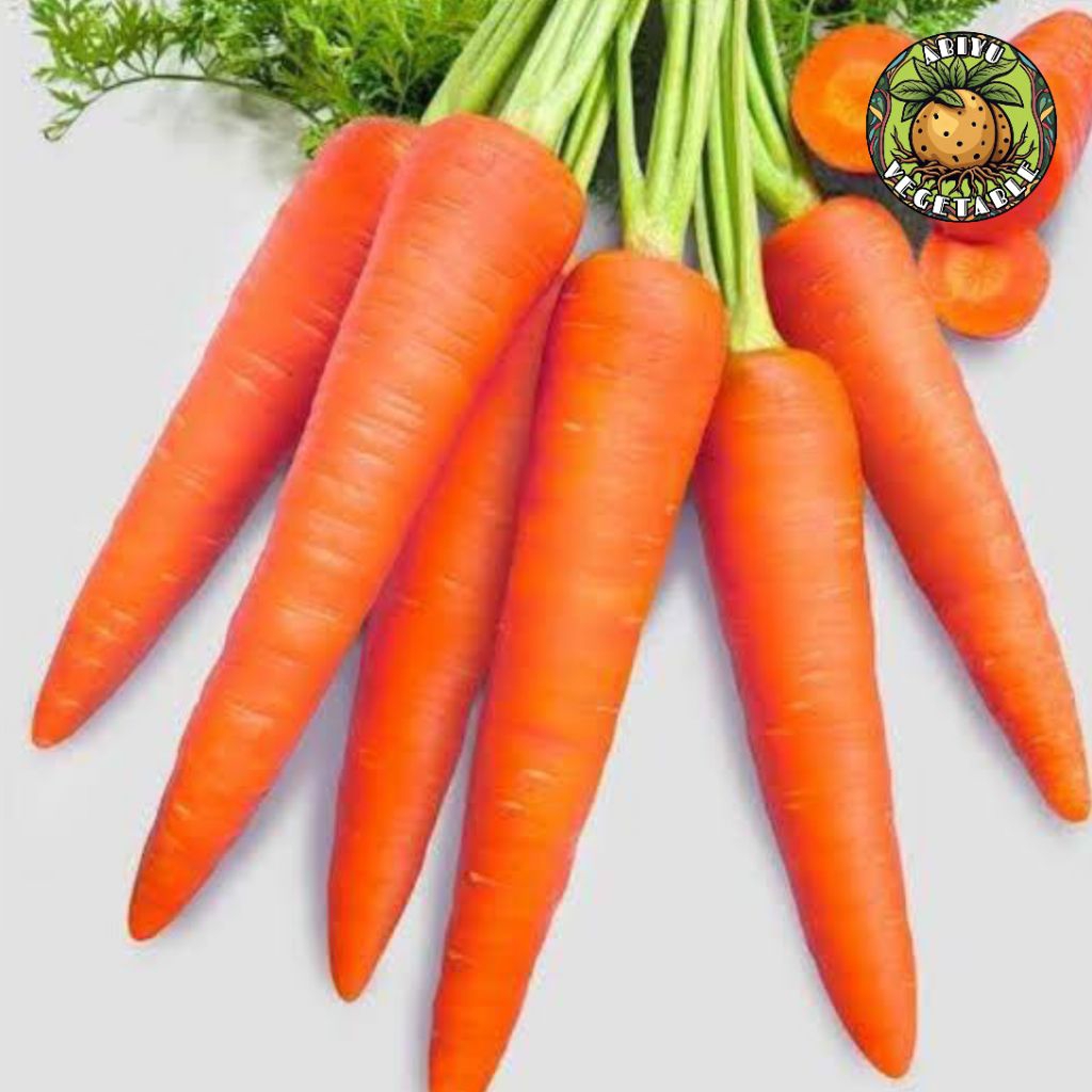 

TERLARIS Wortel Berastagi 500 gr