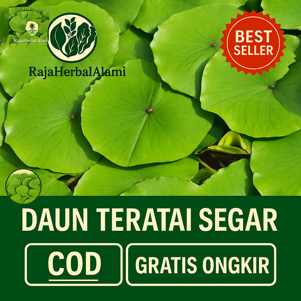 

Daun Teratai Air Hidup Fresh Per Lembar | COD