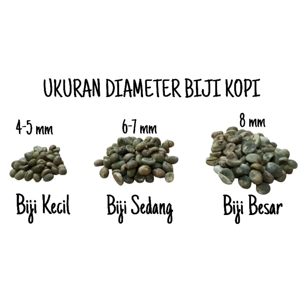 

green Bean / biji kopi mentah murah Lampung