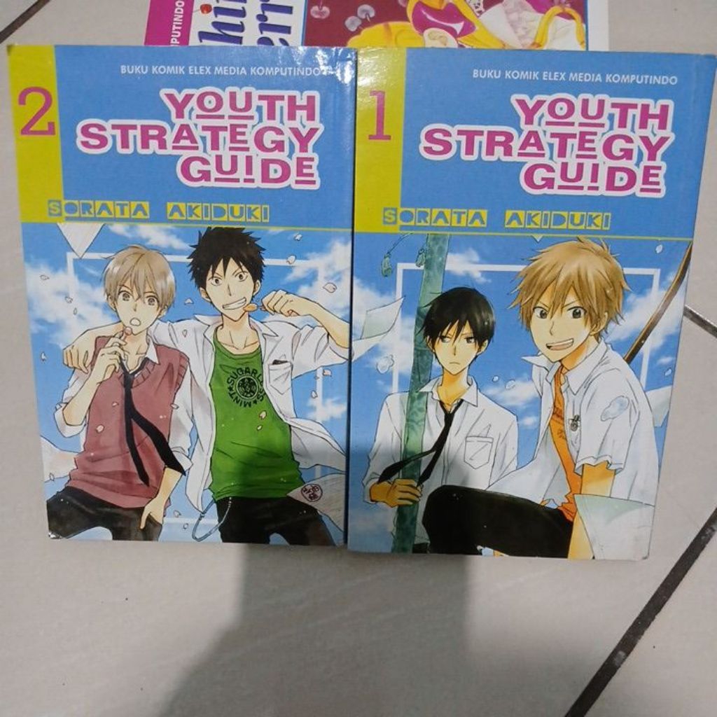 Komik Youth Strategy Guide by Sorata Akizuki