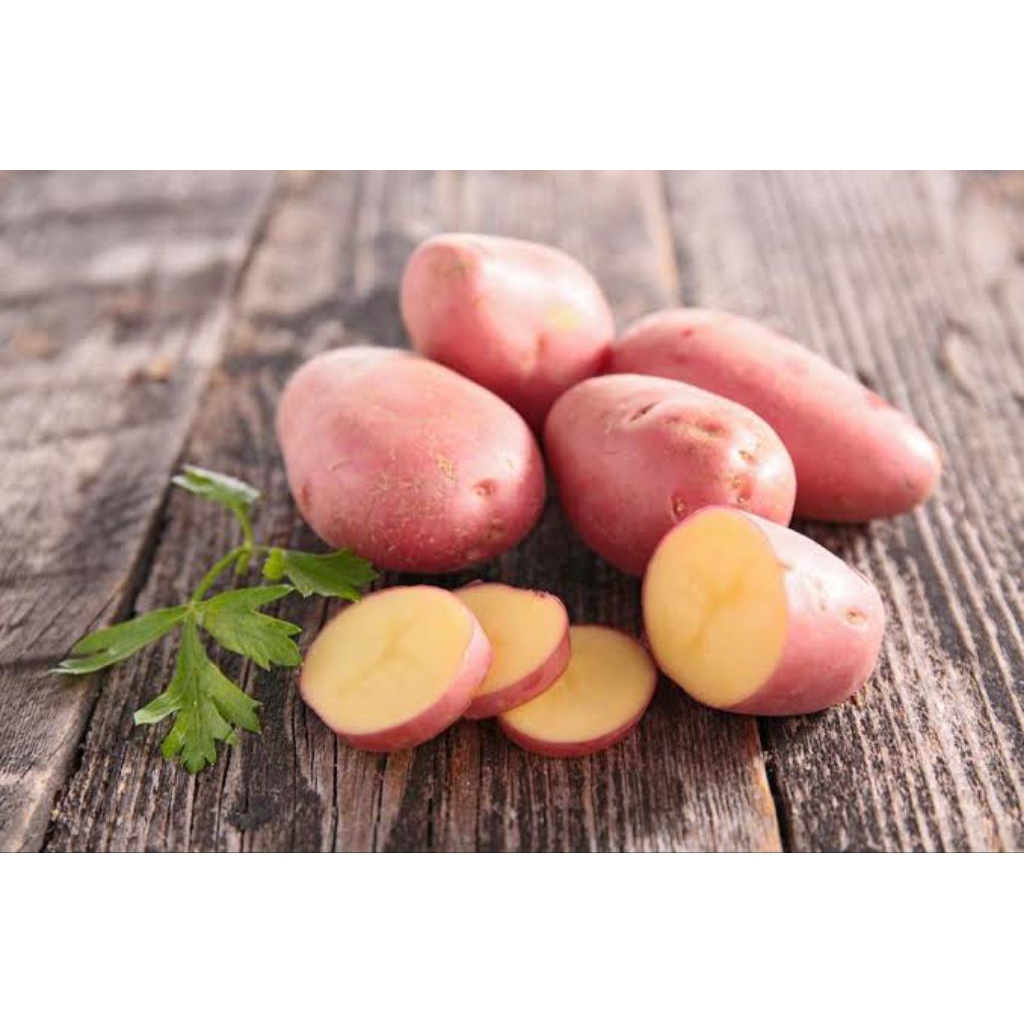 

KENTANG MERAH ASLI DIENG