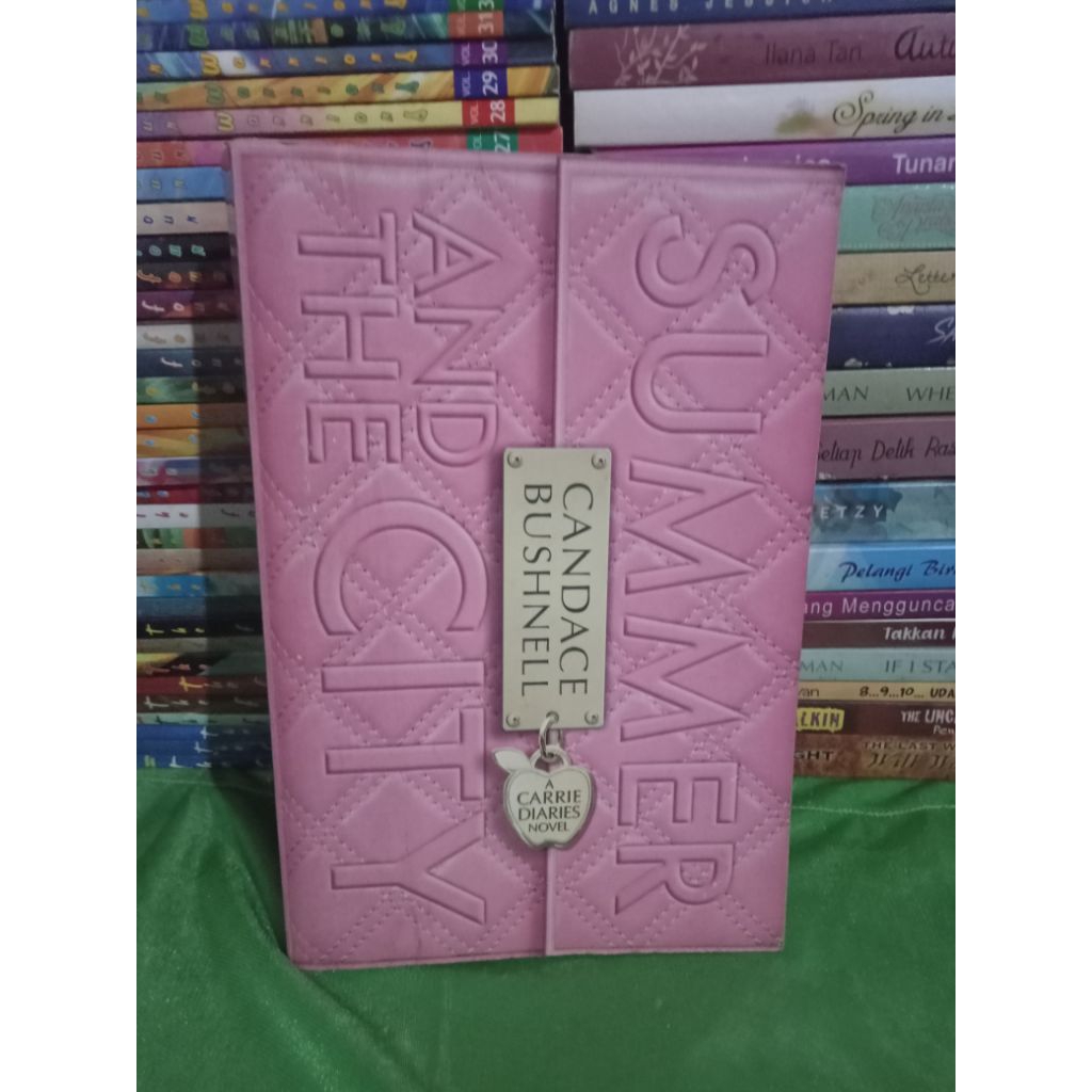 NOVEL SUMMER AND THE CITY